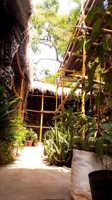The Vintage House Villa Mysore Eksteriør billede